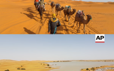 Wild Images Surface After Sahara Desert Undergoes Rare Flooding